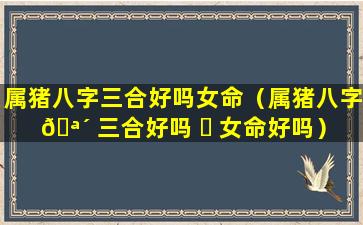 属猪八字三合好吗女命（属猪八字 🪴 三合好吗 ☘ 女命好吗）